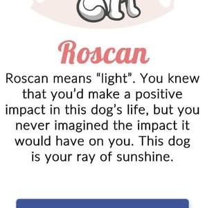 Meet your Posher, Mark-kristine